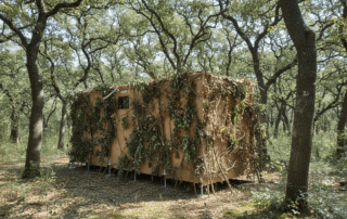 Firefly_Dogada-uzerine-agac-dallari-konusmus-kamufle-edilmis-saklanmis-sekilde-goster-988311-min-320×202